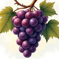 Гроздь