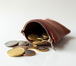 Деньги мелкие