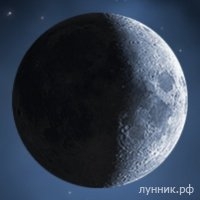 Характеристика 7-х лунных суток