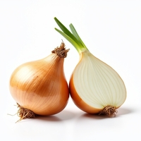 Лук