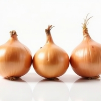 Лук