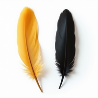 Перо (птичье)