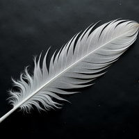 Перо (птичье)