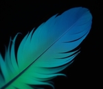 Перо