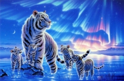 Обширный гороскоп зодиака на 2022 год Водяного Тигра
