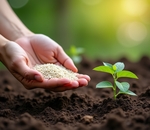 Микроудобрения